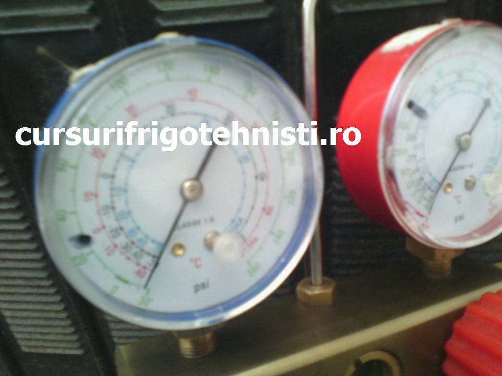 -1 Bari (Custom).jpg