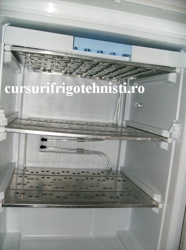 Aectic 1 (Custom).JPG