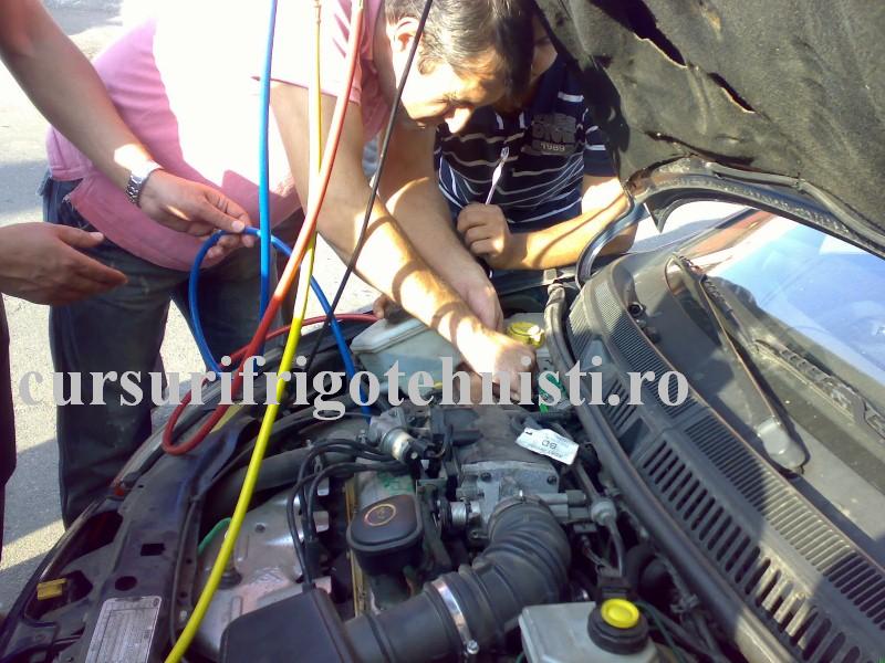 26102013268 (Custom).jpg