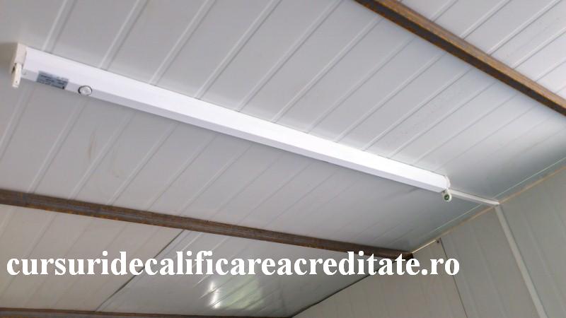 DSC_0436 (Custom).JPG