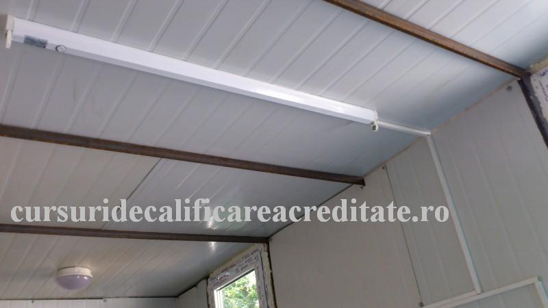 DSC_0438 (Custom).JPG