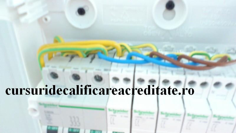 DSC_0439 (Custom).JPG