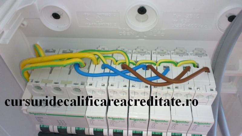 DSC_0440 (Custom).JPG