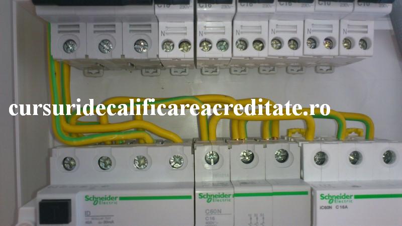 DSC_0441 (Custom).JPG