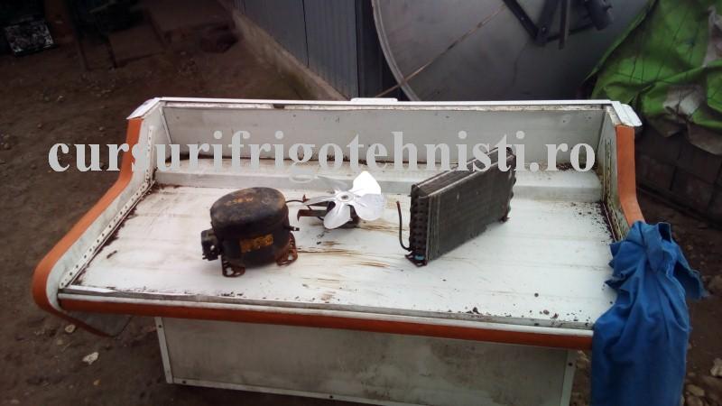 vit134 2 (Custom).jpg