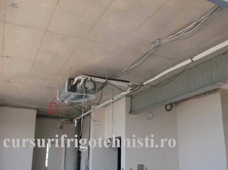 HPIM1206 (Custom) (2).JPG