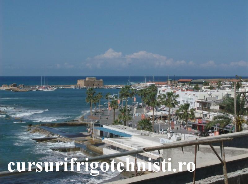 HPIM1205 (Custom) (2).JPG