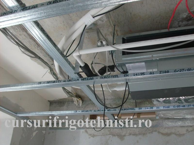 HPIM1188 (Custom).JPG