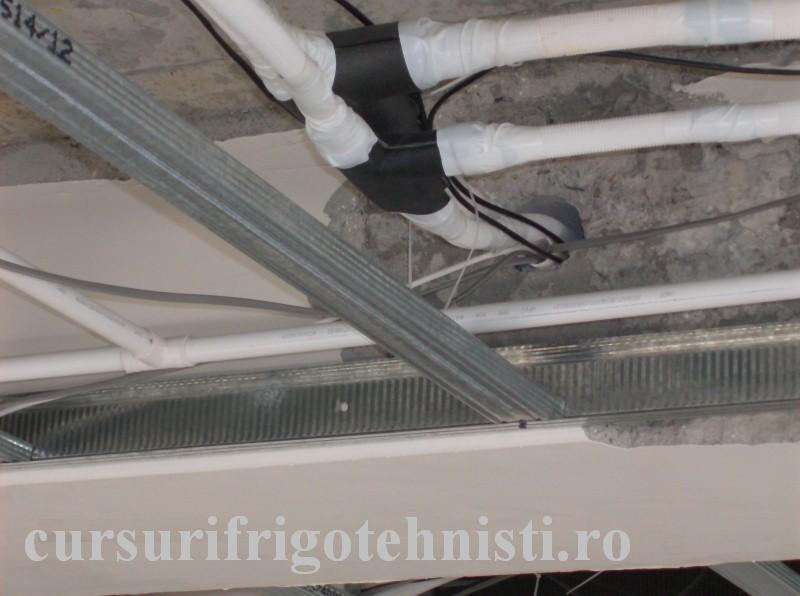 HPIM1187 (Custom).JPG