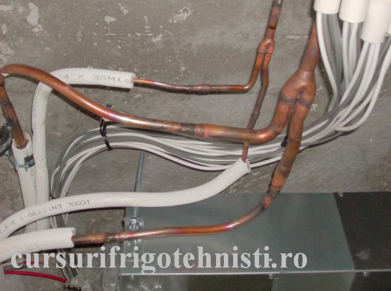 HPIM1172 (Custom).JPG