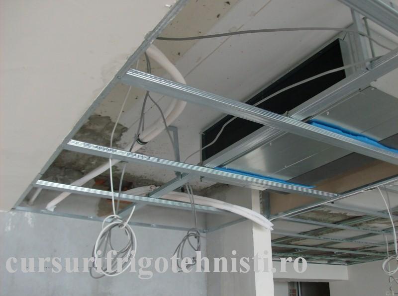 HPIM1160 (Custom).JPG