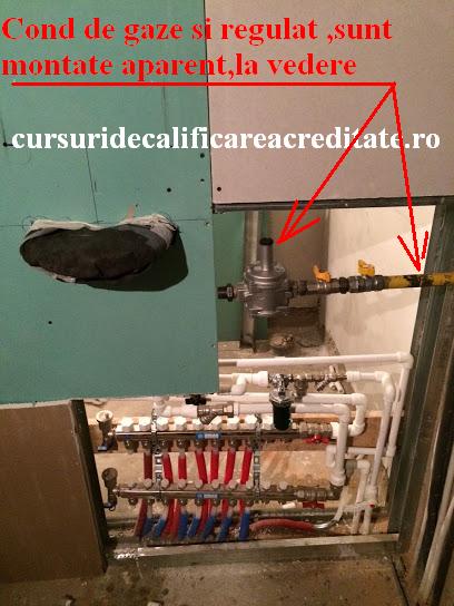 2015-11-13 comana 04.jpg