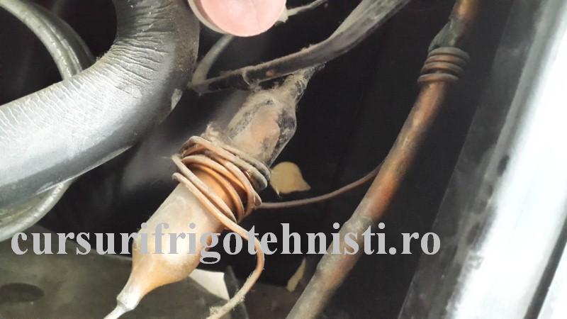 20160314_113843 (Custom).jpg