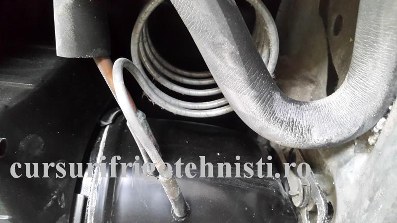 20160314_113955 (Custom).jpg