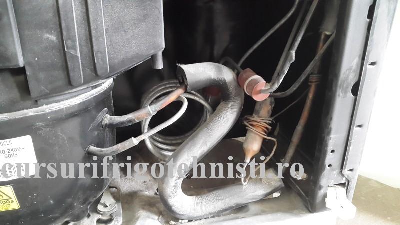 20160314_113640 (Custom).jpg