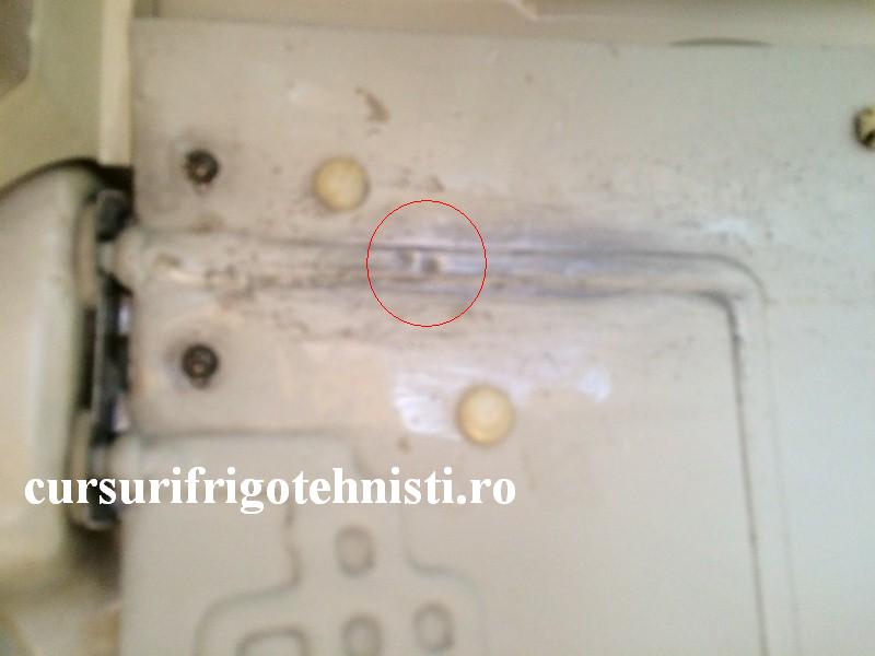 IMG_8326 (Custom).JPG