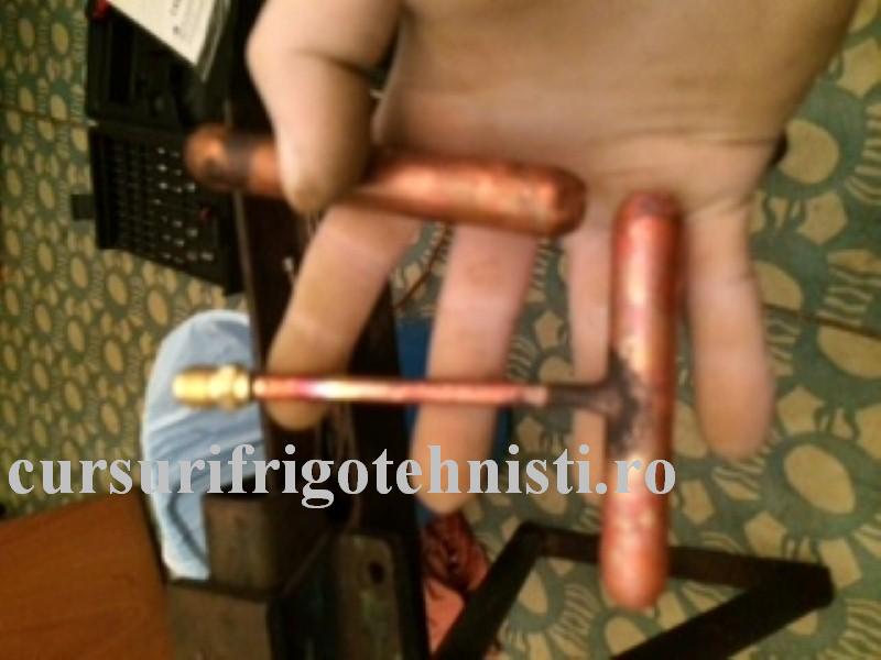 IMG_8352 (Custom).JPG