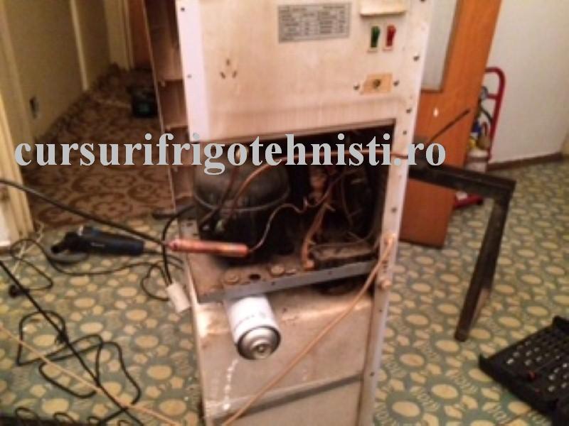 IMG_8362 (Custom).JPG