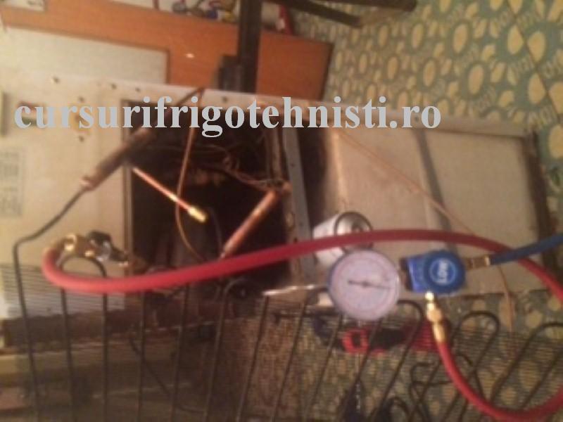 IMG_8363 (Custom).JPG