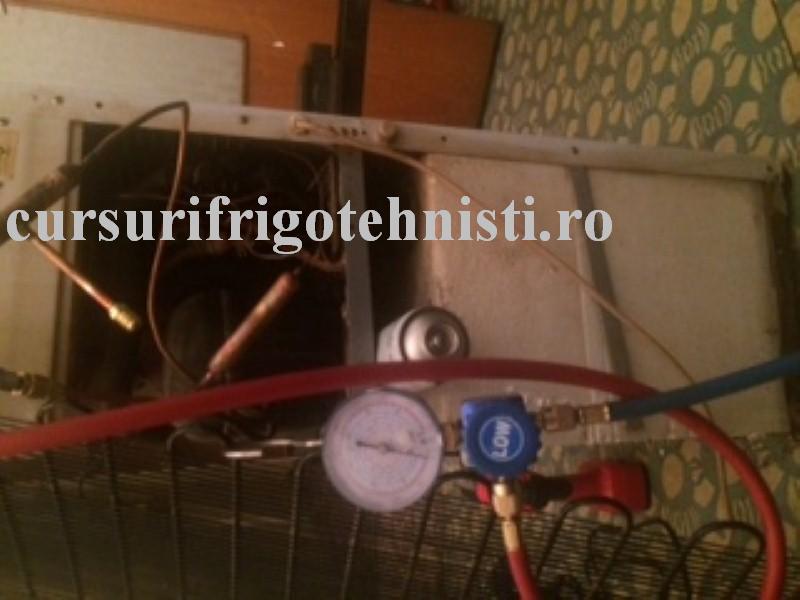 IMG_8364 (Custom).JPG