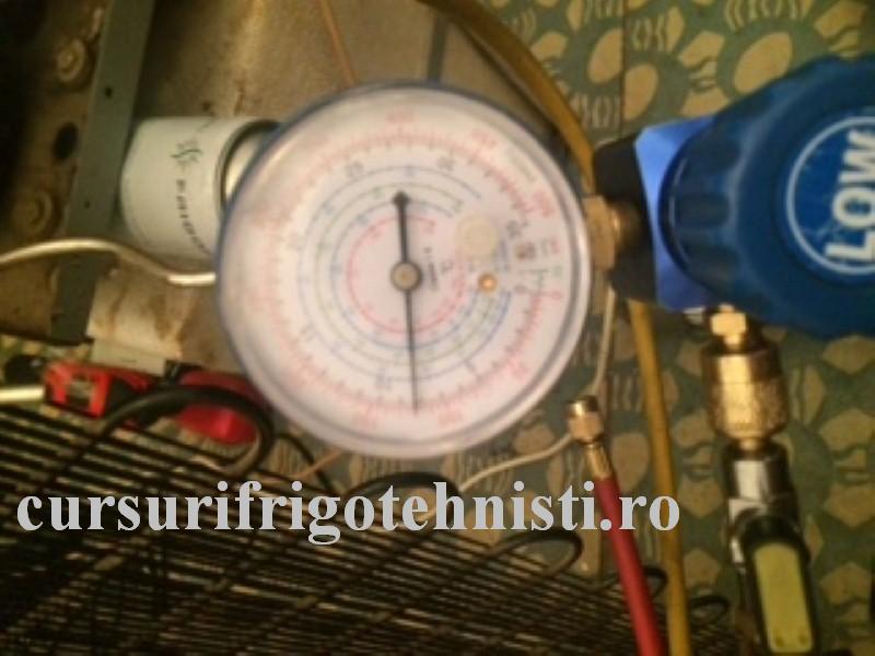 IMG_8373 (Custom).JPG