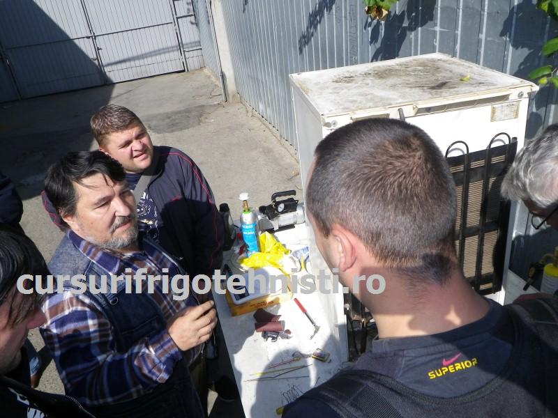 IMGP0487 (Custom).JPG