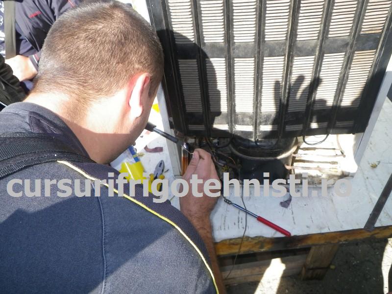 IMGP0489 (Custom).JPG