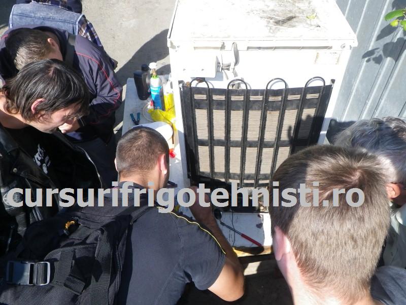 IMGP0490 (Custom).JPG