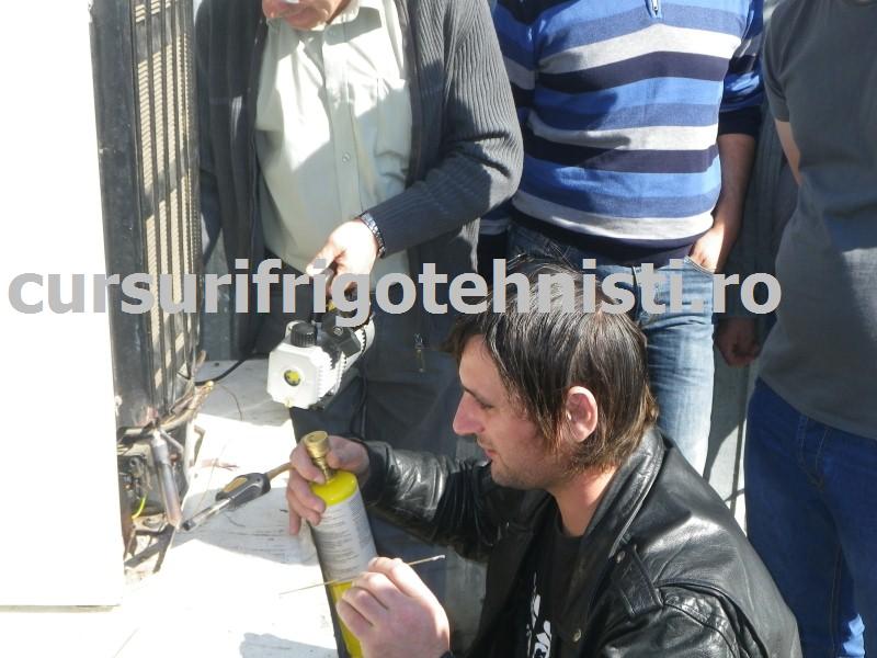 IMGP0492 (Custom).JPG