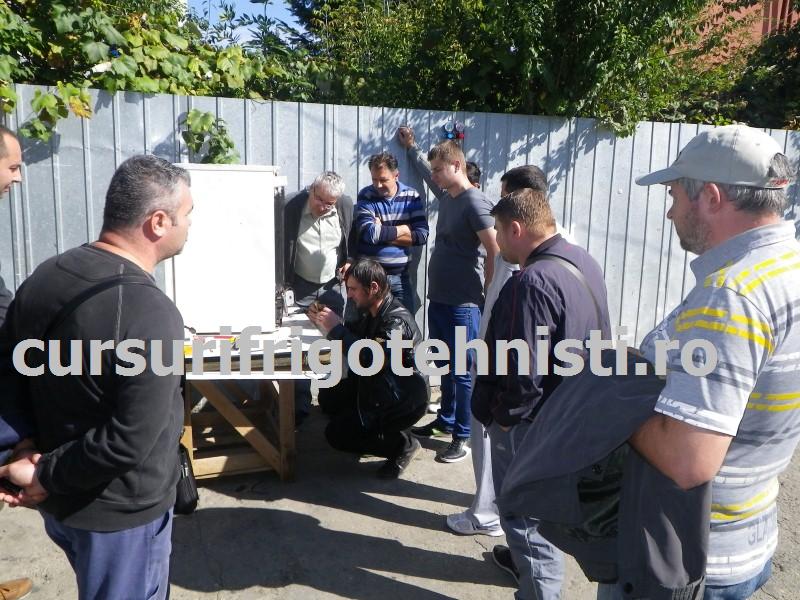 IMGP0493 (Custom).JPG