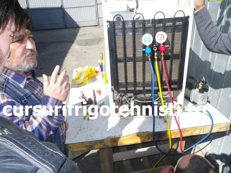 IMGP0496 (Custom).JPG