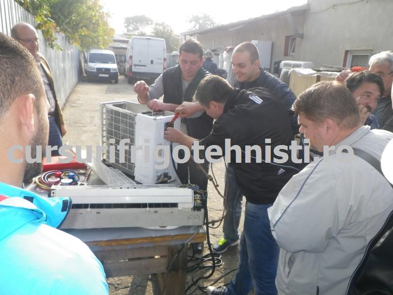 IMGP0500 (Custom).JPG