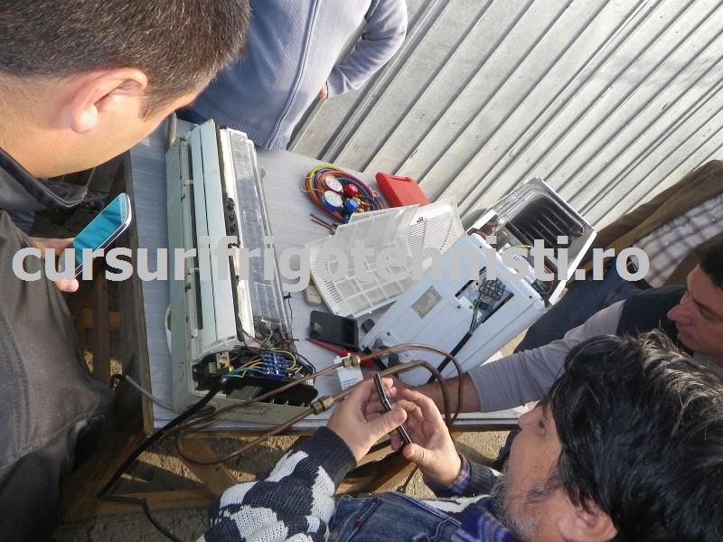 IMGP0501 (Custom).JPG