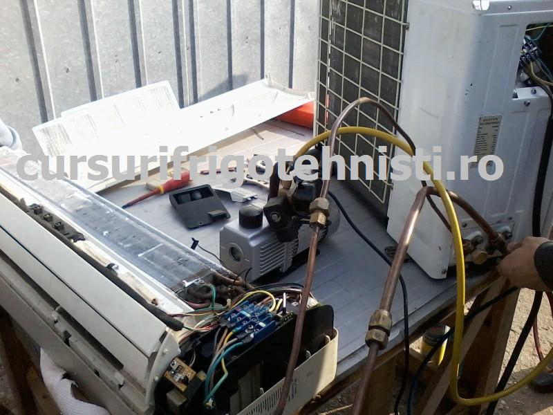 P13-10-14_10.39[01] (Custom).jpg