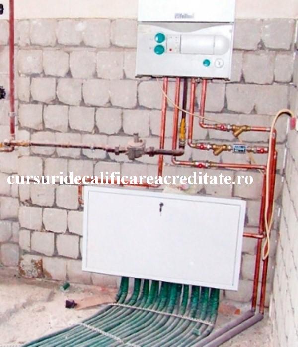 Alti nebuni uitati ce au facut (Custom).JPG