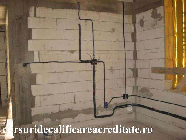 Circuite vila breaza.jpg