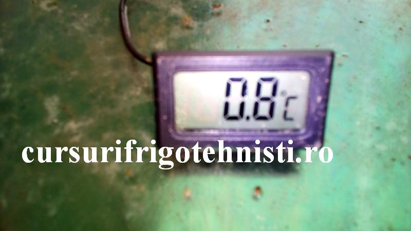 vitrina 6 belea (Custom).jpg