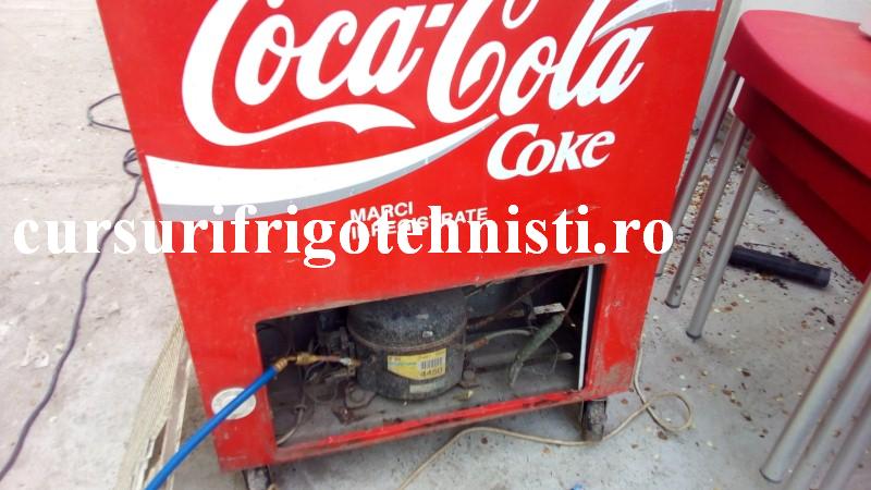 vitrina 1 (Custom).jpg