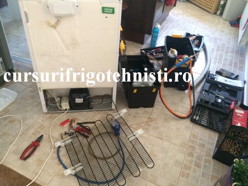 IMG_9161 (Custom).JPG