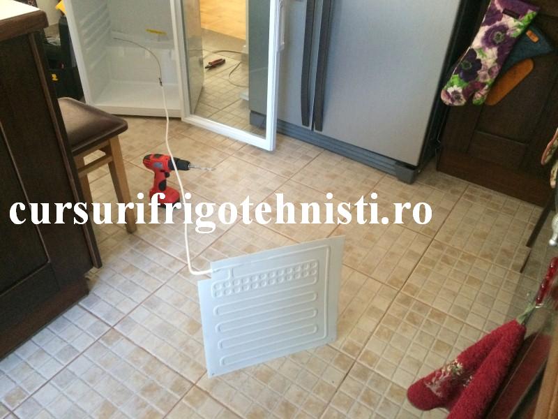 IMG_9157 (Custom).JPG