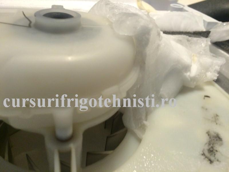 IMG_9231 (Custom).JPG