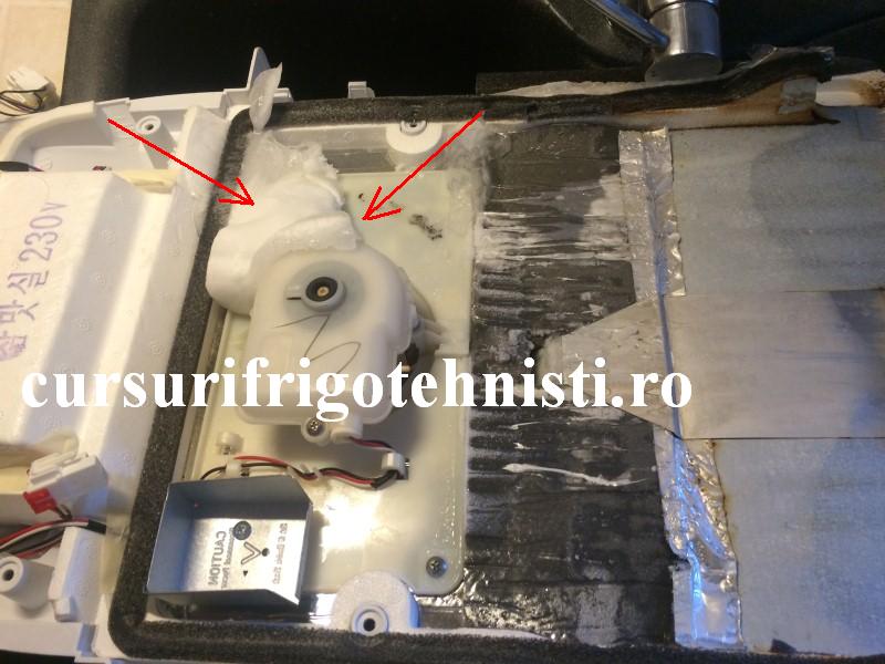 IMG_9230 (Custom).JPG