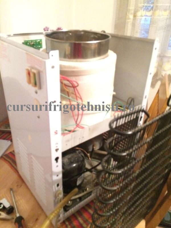 IMG_9219 (Custom).JPG