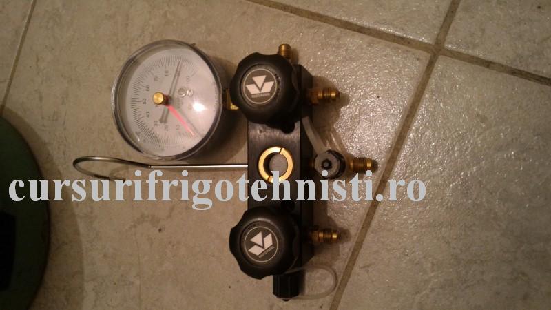 corp bat de 50 lei (Custom).JPG