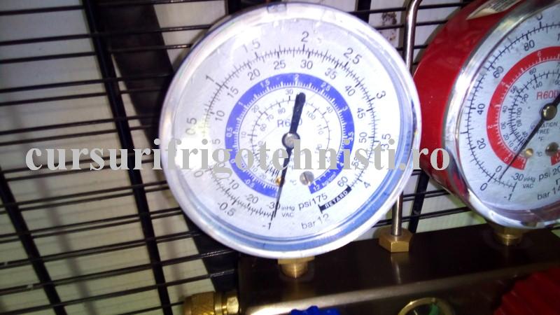 Manom de joasa in vac (Custom).jpg