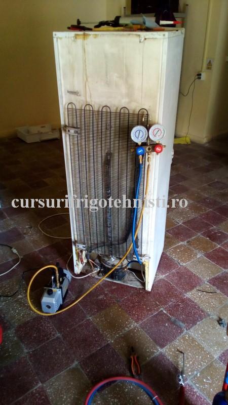 Combina pusa la vidat (Custom).jpg