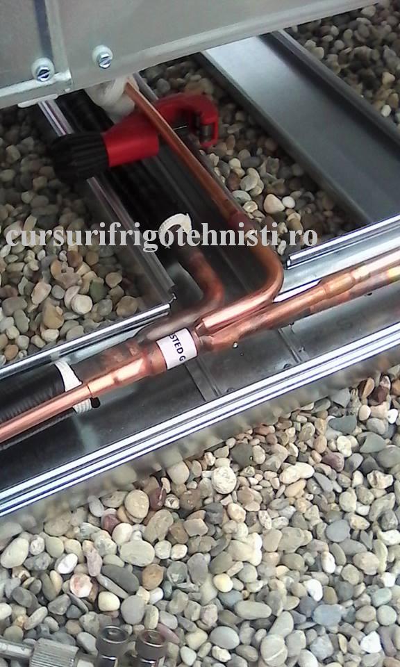 Lucrare in canivouri.jpg