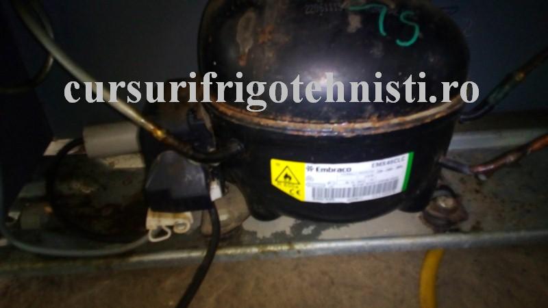 Aspera 5 (Custom).jpg