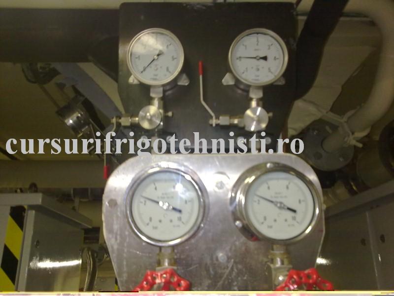 25062012896 (Custom).jpg