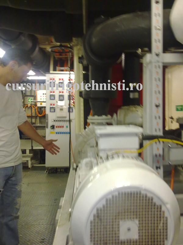 18062012833 (Custom).jpg